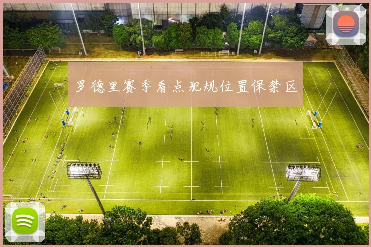 罗德里赛季看点犯规位置保禁区